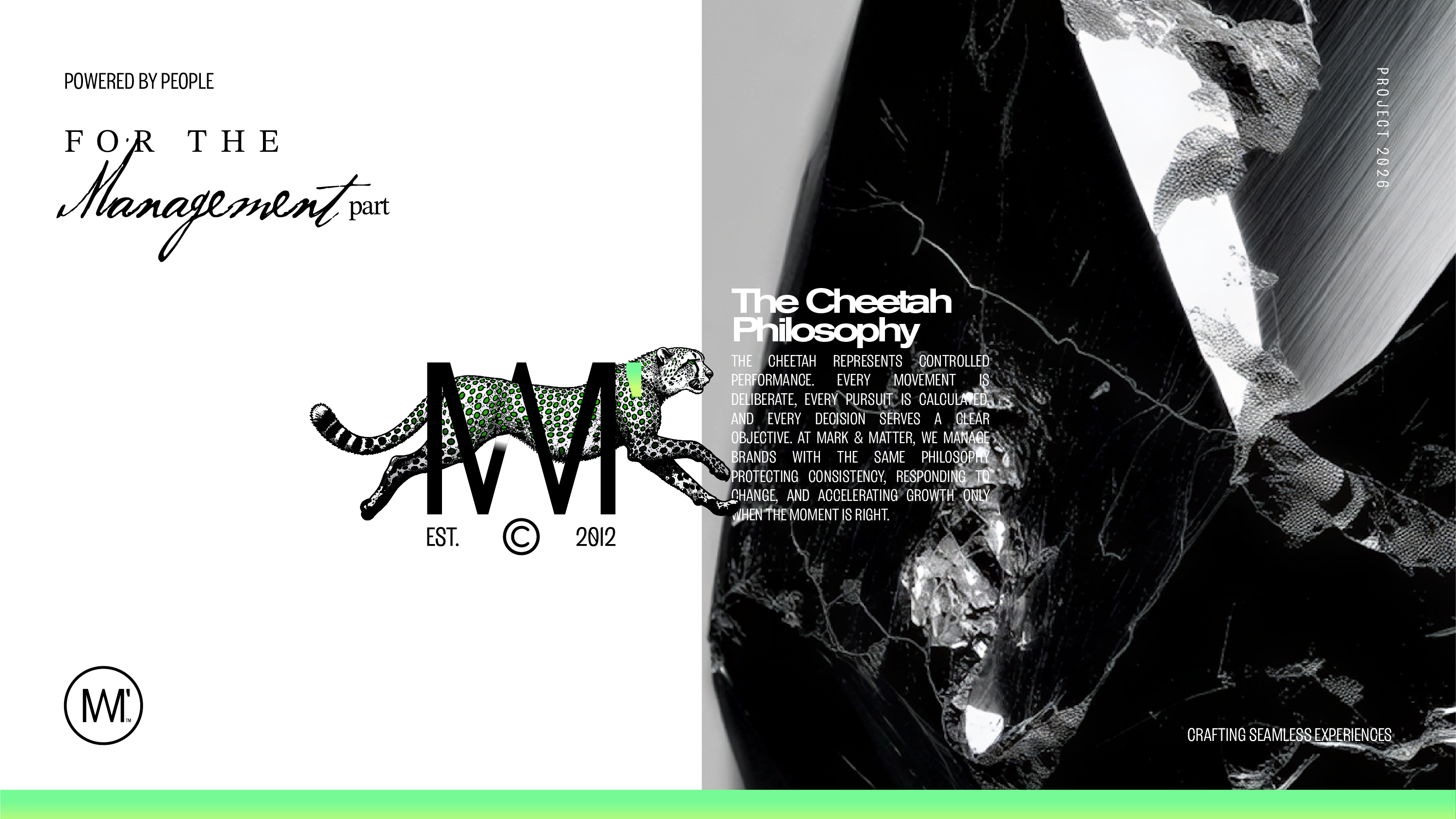 Archive visual 06